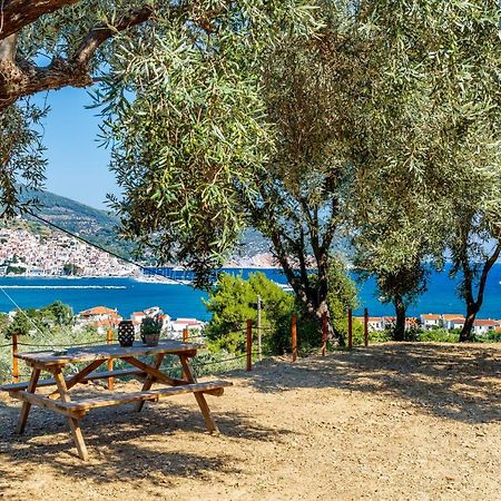 Olive Grove Apartment スコペロス エクステリア 写真