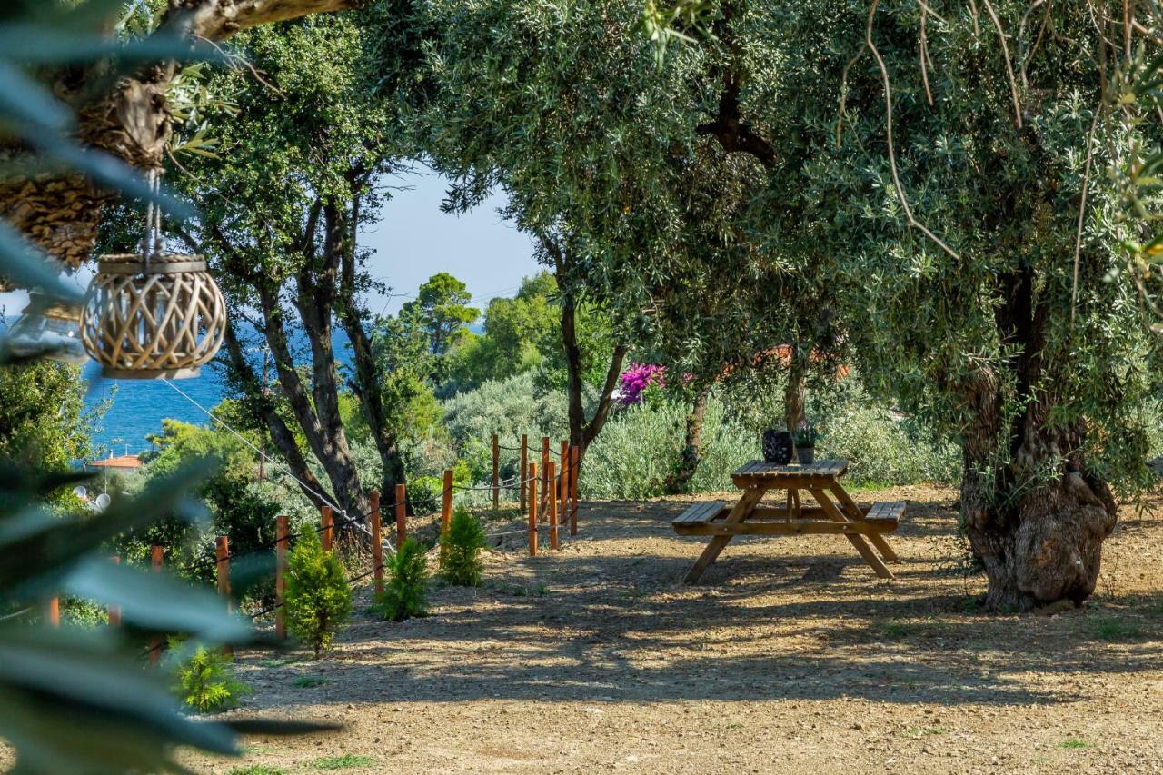Olive Grove Apartment スコペロス エクステリア 写真