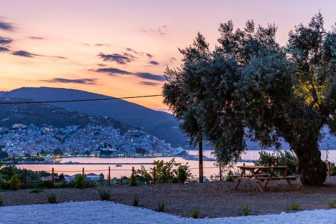 Olive Grove Apartment スコペロス エクステリア 写真