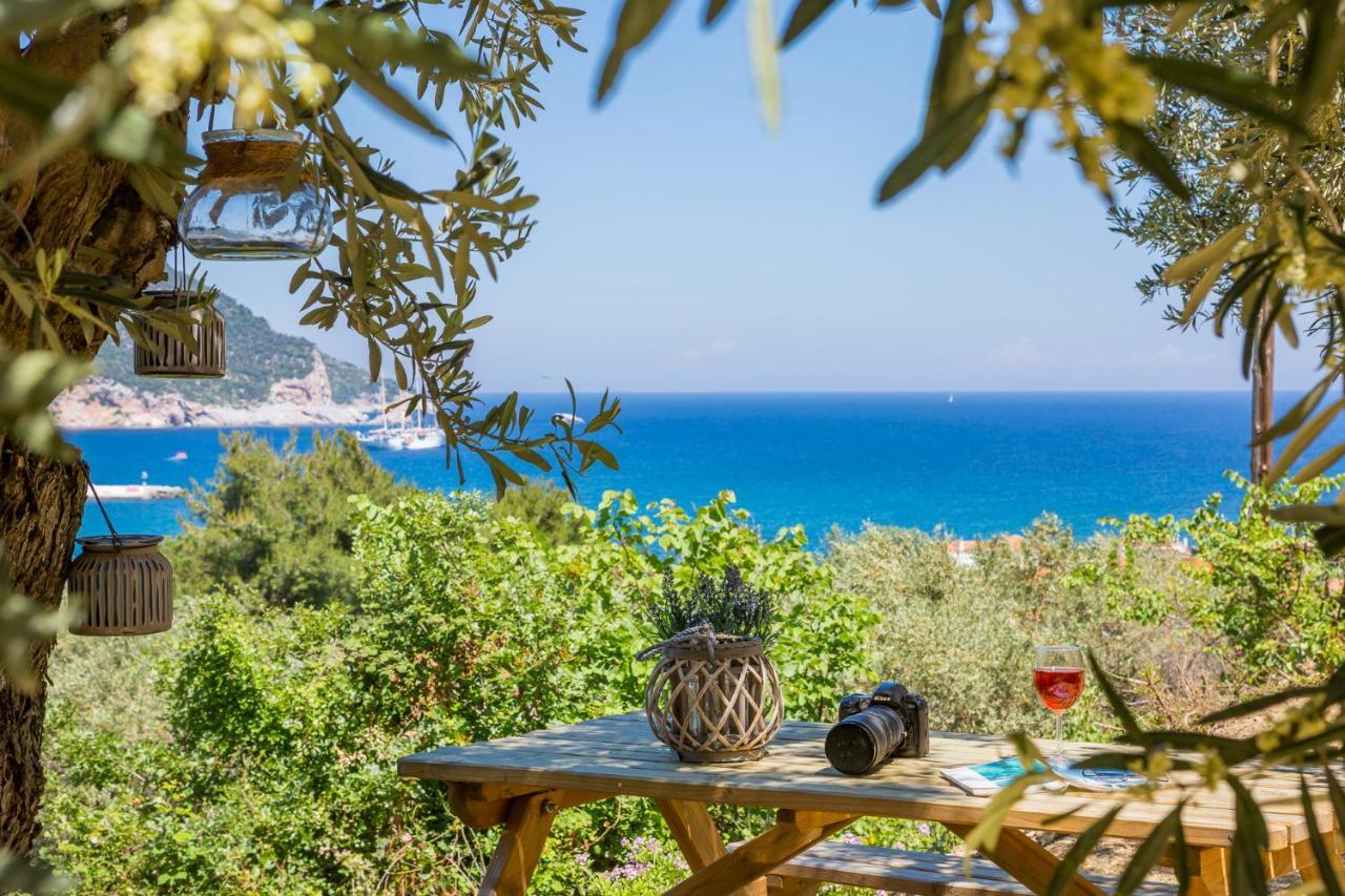 Olive Grove Apartment スコペロス エクステリア 写真