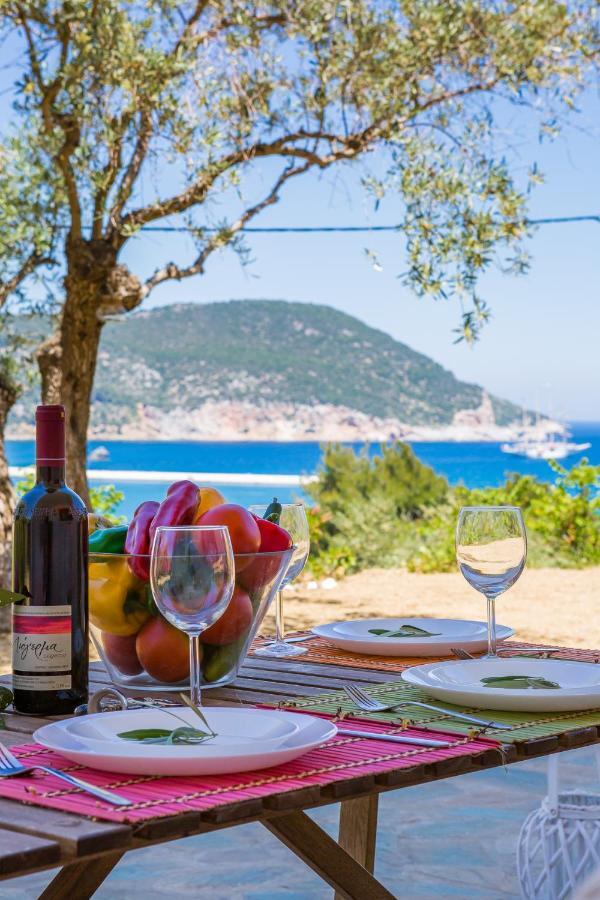 Olive Grove Apartment スコペロス エクステリア 写真